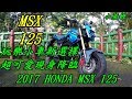 新車抱抱:HONDA MSX 125 超可愛試駕