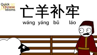 Quick Chinese Idioms Ep21: 亡羊补牢 wáng yáng bǔ láo