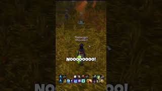 I Accidentally Kill A Guild Member During A Normal Duel