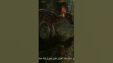 تلاوة في غاية الخشوع للشيخ المنشاوي ❤️ #قرآن #اكسبلور #قران_كريم #المصحف #المنشاوي