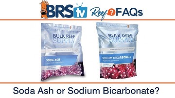 Best 2 part dosing alkalinity additive for your reef tank | Reef FAQs