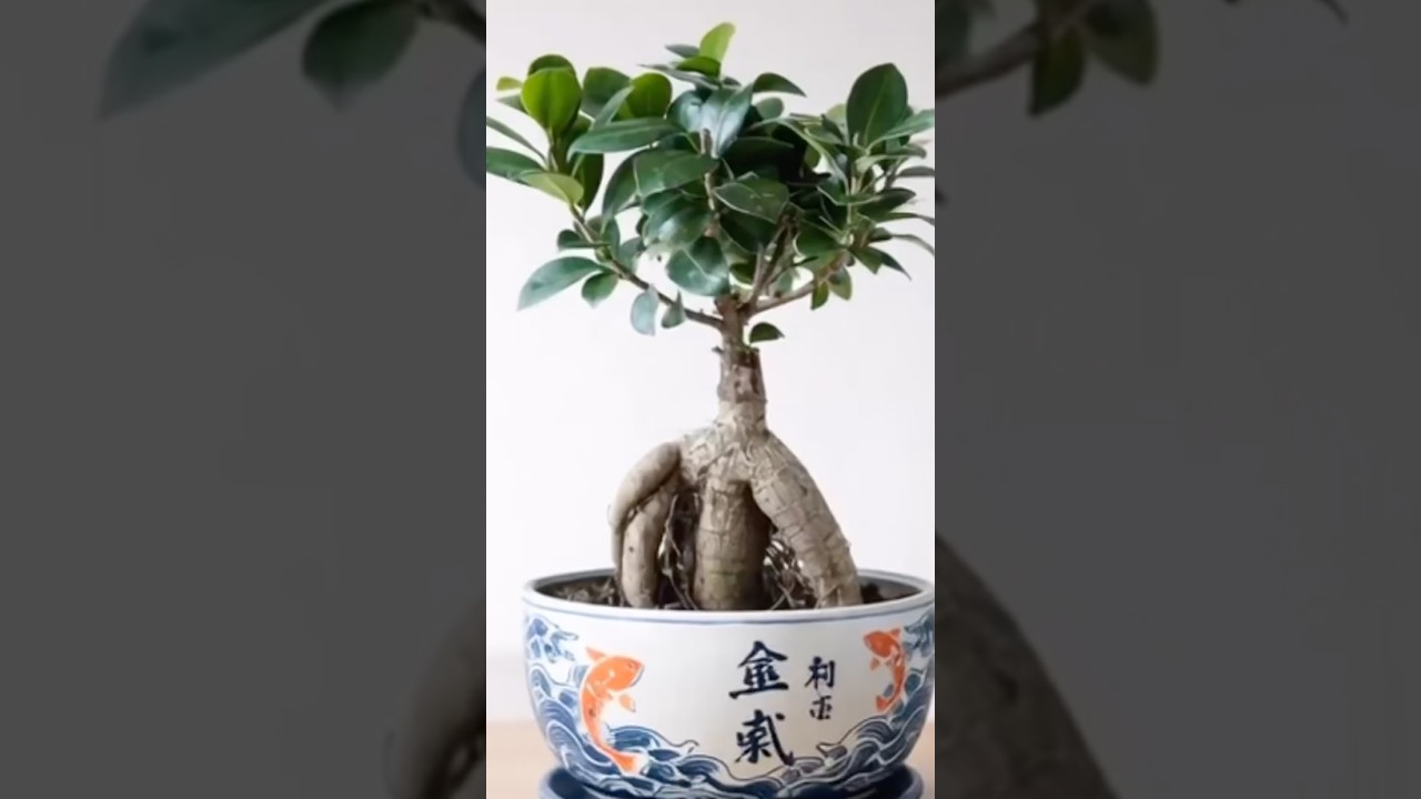 Top 5 Indoor Bonsai That Won’t Die 🌿 #Bonsai