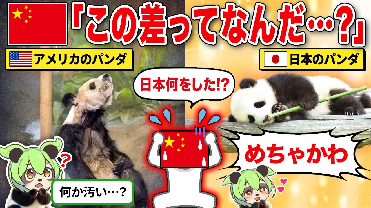 中国「なぁ…アメリカのパンダと日本のパンダ違うくね？」日本のパンダなぜか称賛される