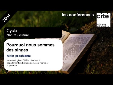 Vidéo: Qu'est-ce que la chimie des singes ?