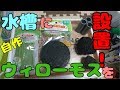 【自作】レッドビーシュリンプ水槽立ち上げ Part2【ウィローモス】