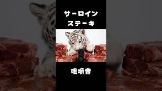 ホワイトタイガーの咀嚼音ASMR【サーロインステーキ】 #asmr #咀嚼音 #animals #eatingsounds #shorts #ai
