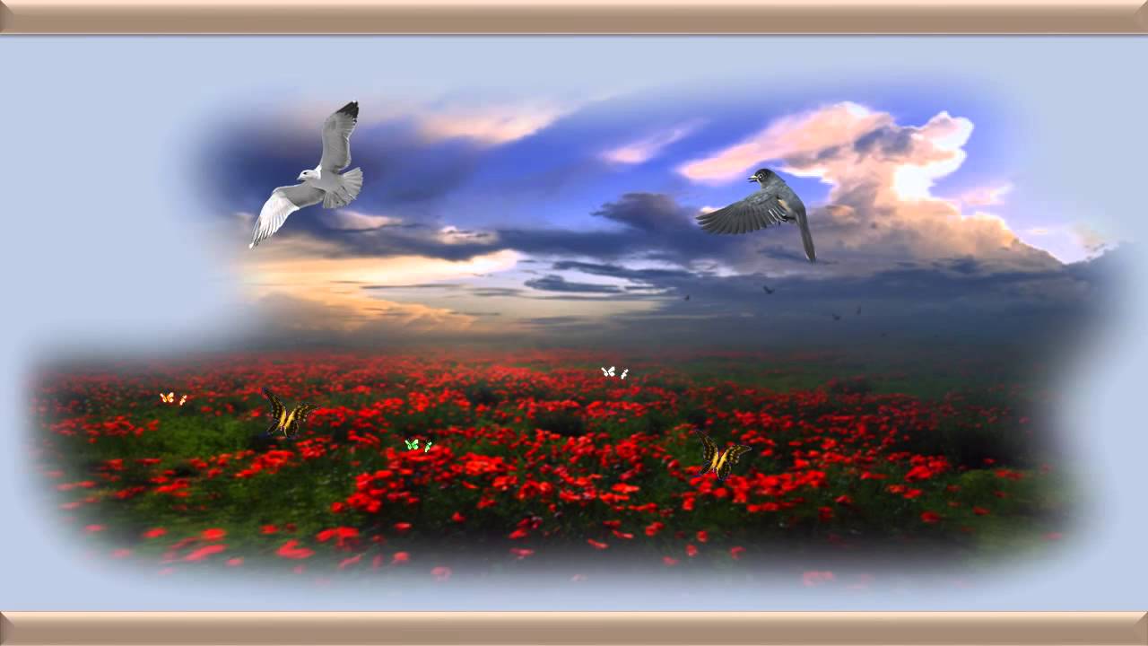 A esperança - Momento Espírita-  Recanto Espírita de Paz