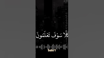 قرآن كريم بصوت ياسر الدوسري | حالات واتس اب دينية - سُورَةُ التَّكَاثُرِ
