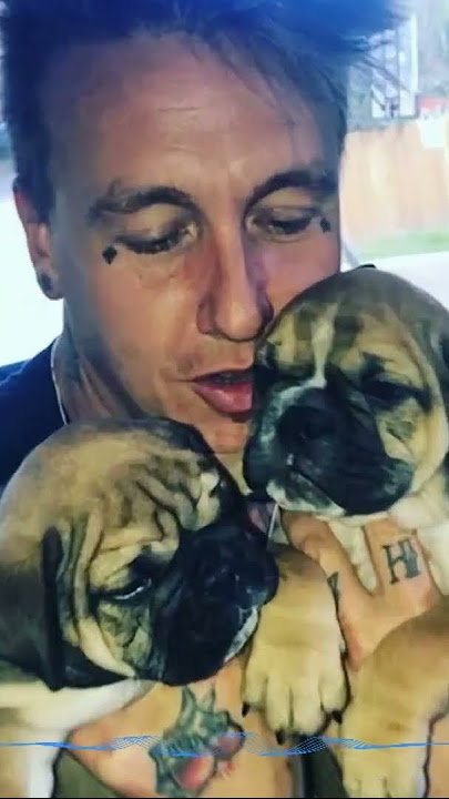 Download lagu Papa Roach - No Matter What  #rock