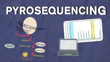 Pyrosequencing