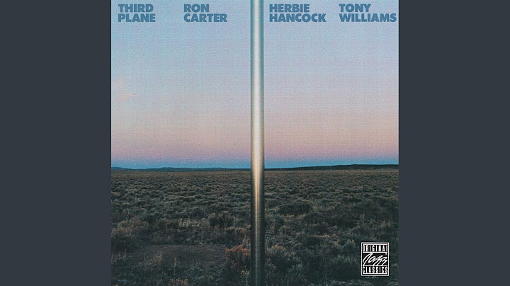 Dolphin Dance Instrumental version - Instrumental performance video thumbnail