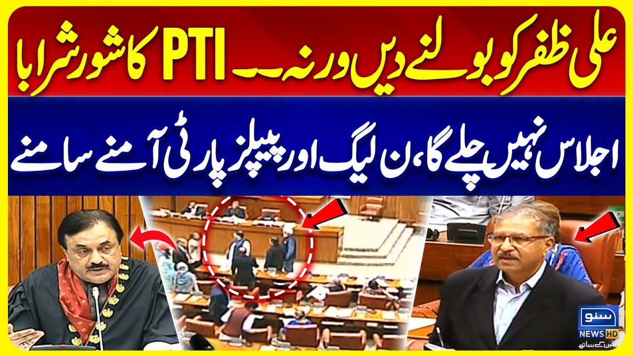 Clash Between PTI And PMLN In Senate Session | Ali Zafar Blasting Speech | Suno News HD