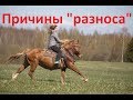 "Разнос"? Так ли это на самом деле.