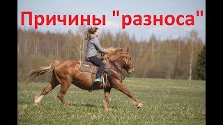 "Разнос"? Так ли это на самом деле.