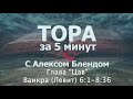 Тора за 5 минут с Алексом Блендом  Отрывок Цав