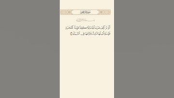 SURAH IBRAHIM AYAT 24|٢٤|سورة إبراهيم آيت BY QARI MUHAMMAD IQBAL BIN AHMAD #quraan #qurantilawat