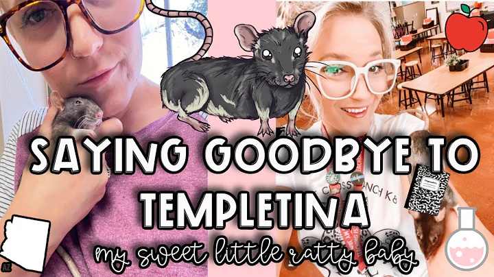 TEACHER VLOG | Saying Goodbye to Templetina the Rat