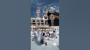 سورة البلد بصوت جميع الشيوخ