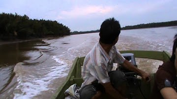 Swiftlet Tester Video