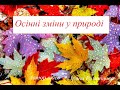 Осінні зміни в природі