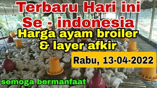 🔴 UPDATE: Harga Ayam Broiler Hari Ini, Rabu 13 Juli 2022. 