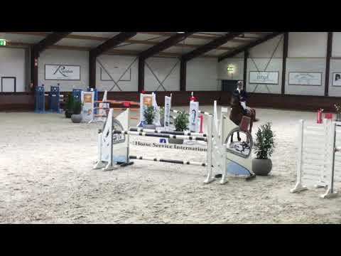 Guelty ( 6 yo by Baltic VDL- Fergar Mail) clear round 1,25 class Peelbergen