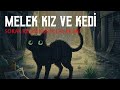 Wednesday Tarzı Karanlık Başladı, Mutlu Sonla Bitti! Sokak Kedisi ve Onu Kurtaran Melek Kız Hikayesi