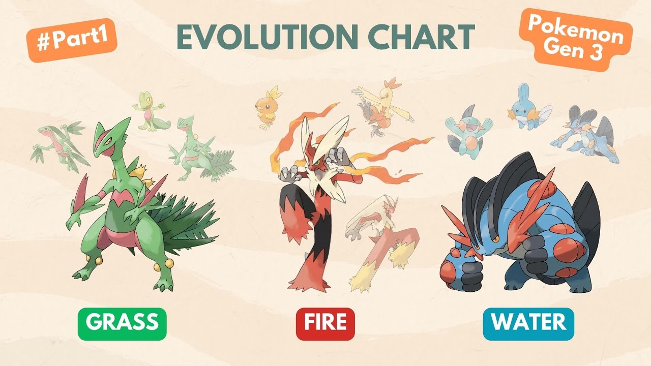 Evolution chart Pokemon Gen 3 (Ground-Rock-Normal) #part2 