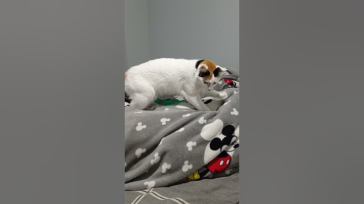 Making biscuits