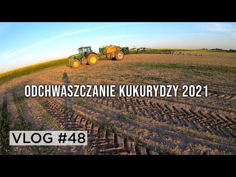 Weeding Corn - John Deere 6930 and Amazone UX 3200 | VLOG #48