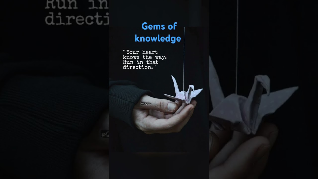 preview_player