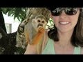 Monkey Land | Dominican Travel Vlog