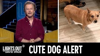 Scooby the Dog Is David Spade’s New Hero - Lights Out with David Spade