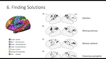 6.6. Finding Solutions, Fundamentals of Cognitive Neuroscience Course, Session 6, Part 6