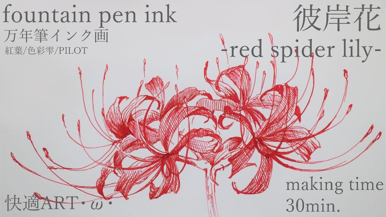 Fountain Pen Ink Red Spider Lily W 彼岸花 紅葉 万年筆インク Youtube