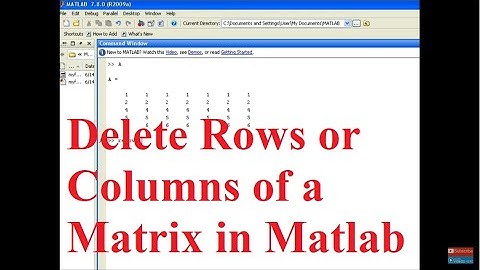 How to remove/delete rows or columns of a matrix in Matlab