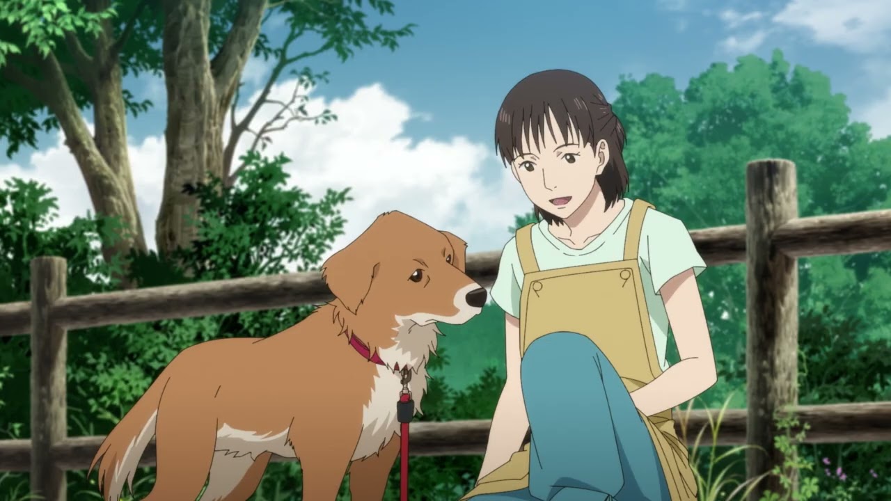 映画「とんがり頭のごん太 2つの名前を生きた福島被災犬の物語