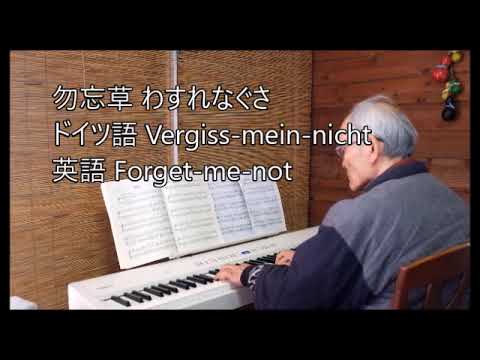 爺の電子ピアノ Lichner 勿忘草 Midi伴奏付き