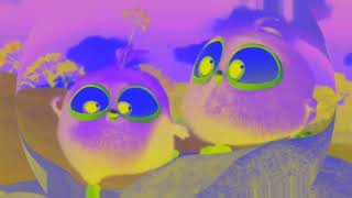 Flap and Flip!! | Angry Bird Blues | #previeweffects