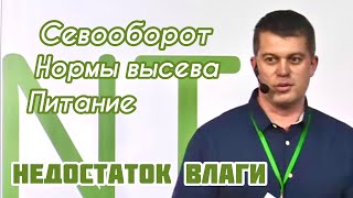 Севооборот, нормы высева и особенности питания растений в условиях недостаточного увлажнения