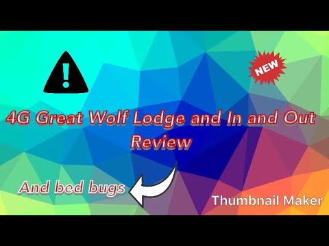 BED BUGS ATTACK at Great Wolf Lodge and In and Out Review