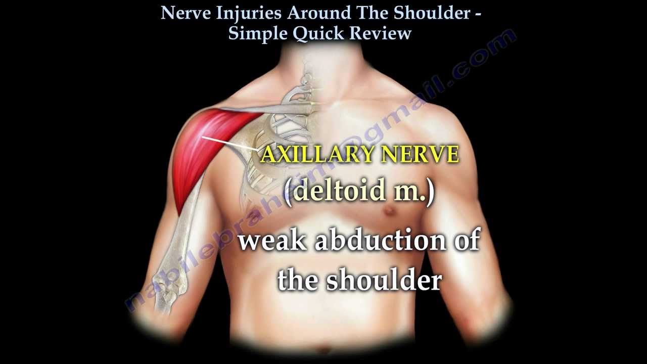 Nerve Injuries of the Shoulder ,axillary nerve - Everything You Need To