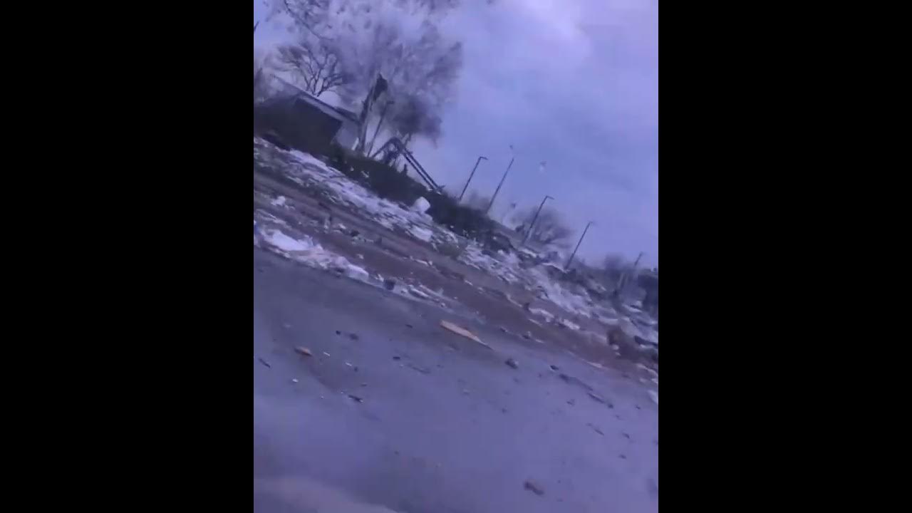 Лабрадор Марик из Мариуполя