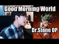 Dr. Stone Opening | 「Good Morning World!」 【Cover by RU】