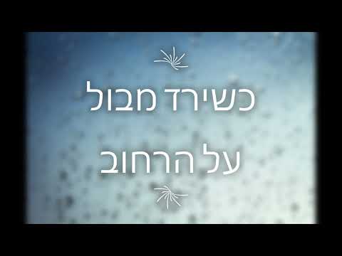 קרן פלס מבול מילים 