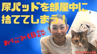 排泄お悩み相談　「尿パッドを部屋中に捨ててしまう」