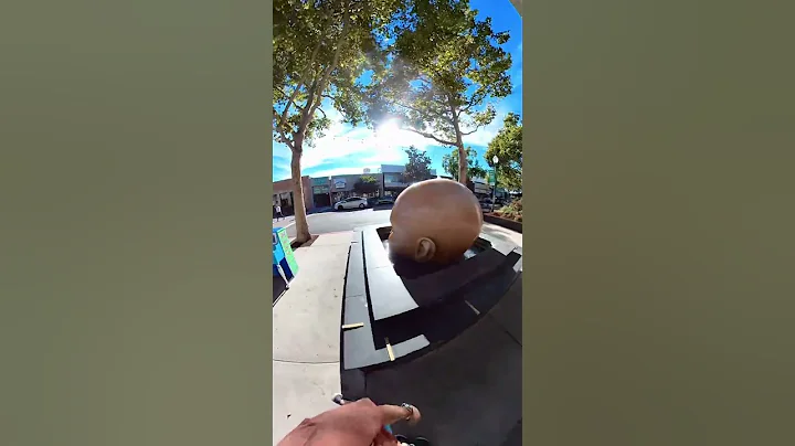 Exploring Walnut Creek