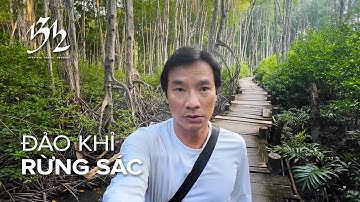 Lang thang đảo khỉ Cần Giờ, chiến khu Rừng Sác - 1312