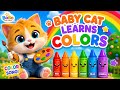 BabyCat Learns Colors🌈|Color Song Kids| Nursery Rhymes #babycat #nurseryrhymes#Colorsong#shorts#like