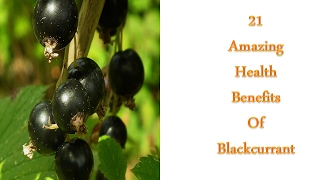 21 Amazing Health Benefits of Blackcurrant